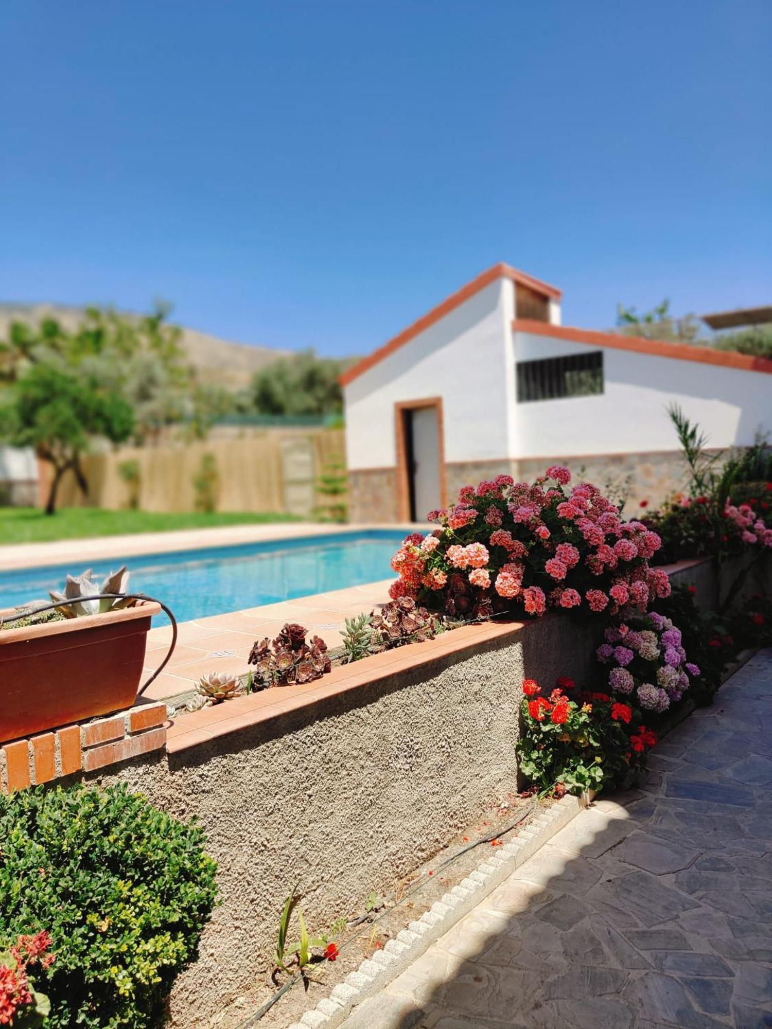 Casa Rural Las Cuatro Flores Orgiva Exterior photo